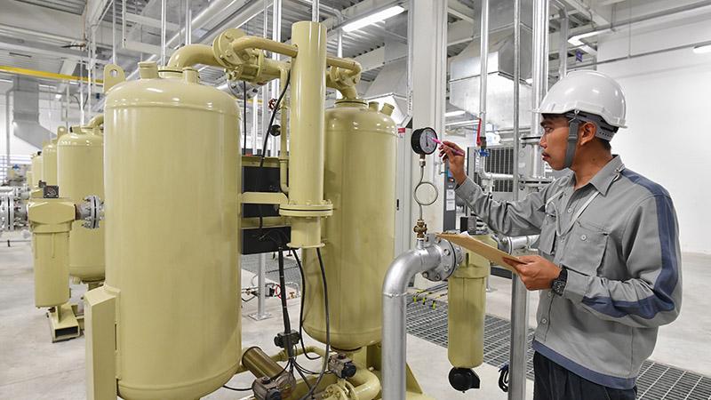 ¿Qué es el Punto de Rocío? La Guía Técnica que tu Planta Necesita